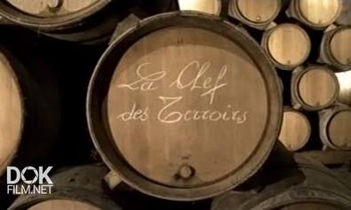 Вино. Зеленая Революция / Wine: The Green Revolution / Clef Des Terroirs (2011)