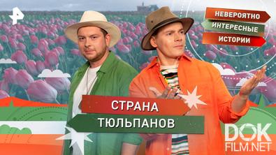 Невероятно интересные истории. Страна тюльпанов (28.10.2025)
