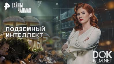 Тайны Чапман. Подземный интеллект (11.12.2025)