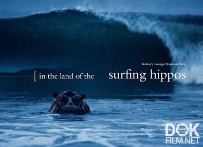 Бегемоты-серферы: Направление - Габон/ Surfing Hippos - Gabon's Jungle Beach (2026)