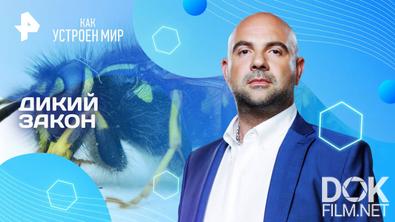 Как устроен мир с Тимофеем Баженовым. Дикий закон (06.06.2025)