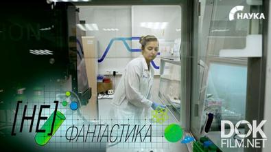 Не фантастика. Кишечник из полимера (2026)