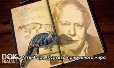 Курьезы Природного Мира / David Attenborough\'S Natural Curiosities / Сезоны 2 - 3 (2013-2015)