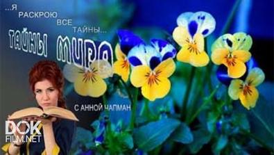 Тайны Мира С Анной Чапман. Зеленый Разум (11.04.2014)