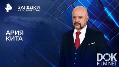 Загадки человечества с Олегом Шишкиным. Ария кита (16.06.2025)