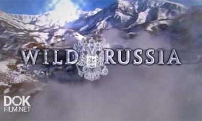 Дикая Природа России / Wild Russia (2008)