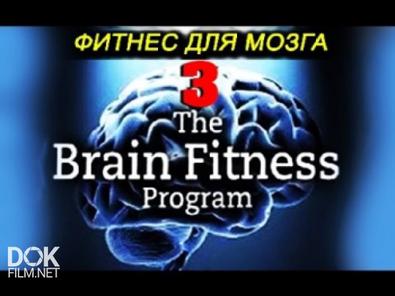 Тренировка Для Ума/Фитнес Для Мозга/Brain Fitness (2008 - 2009)