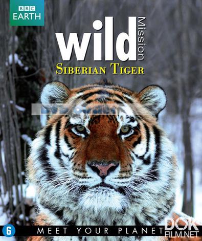 По следам уссурийского тигра/ Operation Snow Tiger (2013)