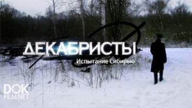Декабристы. Испытание Сибирью (2014)