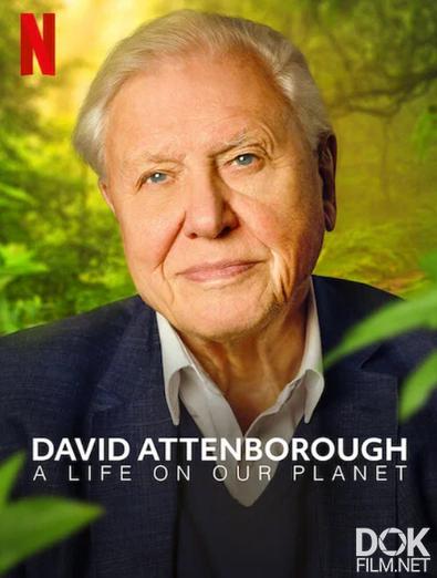 Дэвид Аттенборо: Жизнь на Земле/ David Attenborough: A Life On Earth (2023)