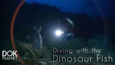 Погружение С Динозавром / Diving With The Dinosaur Fish (2013)
