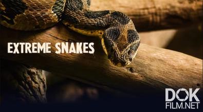 Самые жуткие змеи/ Extreme Snakes (2022)