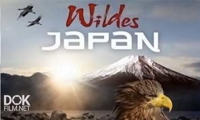 Дикая Природа Японии / Wildes Japan (2010)