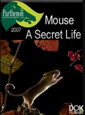 Тайная жизнь мышей/ Mouse: A secret life (2007)