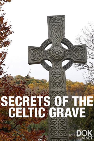 Тайны кельтского захоронения/ Secrets of the Celtic Grave (2021)