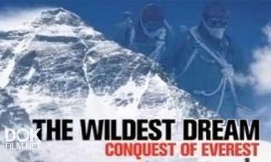 История Трагического Восхождения. Эверест / Самая Дикая Мечта. Покорение Эвереста / The Wildest Dream. Conquest Of Everest (2011)