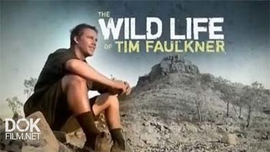 Дикая Жизнь С Тимом Фолкнером / The Wild Life Of Tim Faulkner (2013)