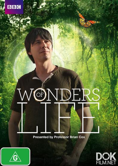 Чудеса жизни/ Wonders of Life (2013)