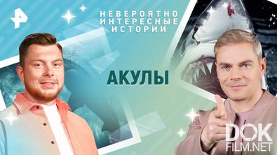 Невероятно интересные истории. Акулы (22.05.2025)