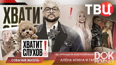 Хватит слухов! Как Киркоров превратил собаку в модный аксессуар? (2026)