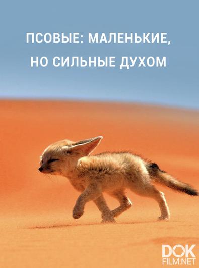Псовые: маленькие, но сильные духом/ Little Dogs: Big Personalities (2021)