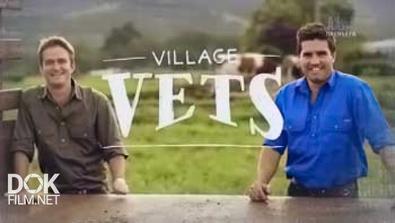 Деревенские Ветеринары / Village Vets (2014)