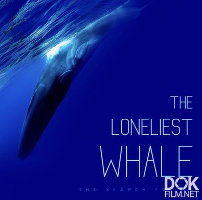 Самый одинокий кит/ The Loneliest Whale: The Search for 52 (2021)
