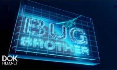 Наши Невидимые Спутники / Bug Brother (2007)