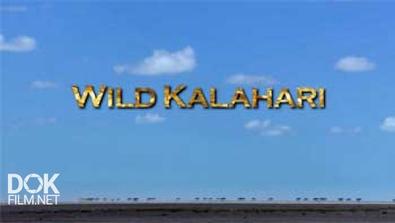Дикая Калахари / Wild Kalahari (2013)