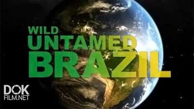 Дикая Бразилия / Wild Untamed Brazil (2014)