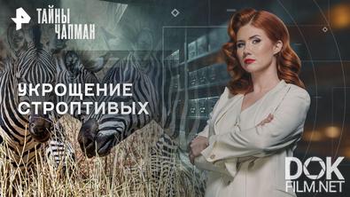 Тайны Чапман. Укрощение строптивых (31.08.2026)