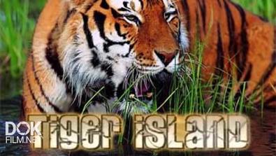 Тигриный Остров / Tiger Island (2008)
