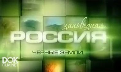 Заповедная Россия. Черные Земли (2011)