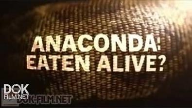 Съеденный Заживо? / Anaconda: Eaten Alive? (2014)