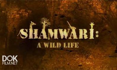 Шамвари. Жизнь На Воле / Shamwari. A Wild Life (2008)