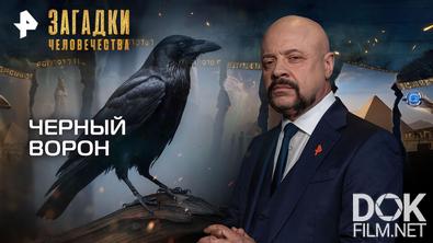 Загадки человечества с Олегом Шишкиным. Черный ворон (20.01.2026)