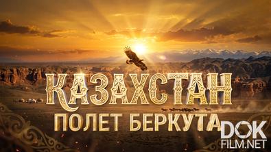 Казахстан. Полет беркута (2026)