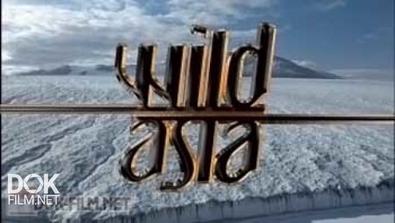 Дикая Азия / Wild Asia (1998-2010)