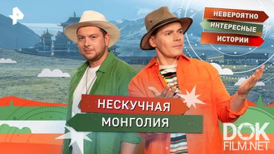 Невероятно интересные истории. Нескучная Монголия (20.08.2025)