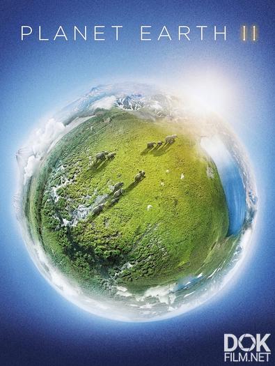 Планета Земля 2/ Planet Earth II (2016)