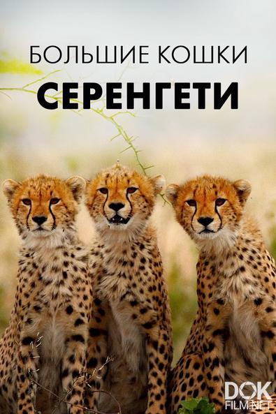 Большие кошки Серенгети/ Big Cats of the Serengeti (2019)