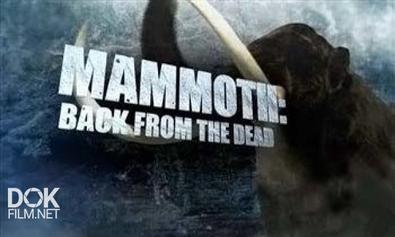 Мамонт: Воскрешение Из Мертвых / Mammoth: Back From The Dead (2013)