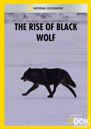 Восхождение чёрного волка/ The Rise of Black Wolf (2012)