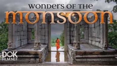 В Краю Муссонов / Wonders Of The Monsoon (2014)