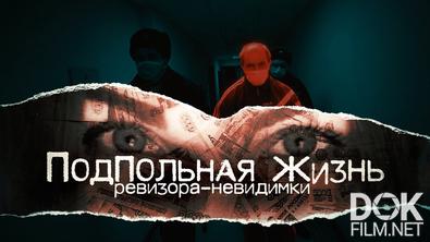 Расследование Эдуарда Петрова. Подпольная жизнь ревизора-невидимки (2023)