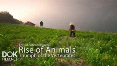 История Животного Мира С Дэвидом Аттенборо / Rise Of Animals: Triumph Of The Vertebrates (2013)