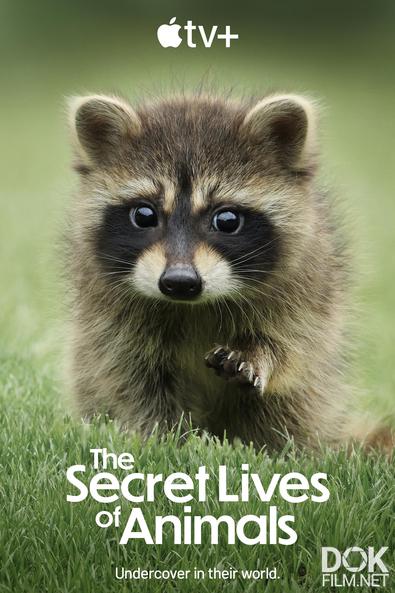 Тайная жизнь животных/ The Secret Lives of Animals (2024)