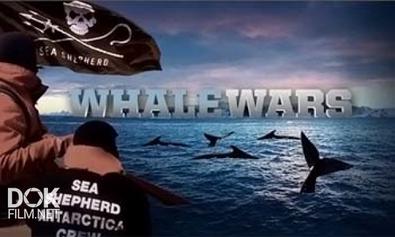 Китовые Войны / Whale Wars / Сезон 4 (2011)