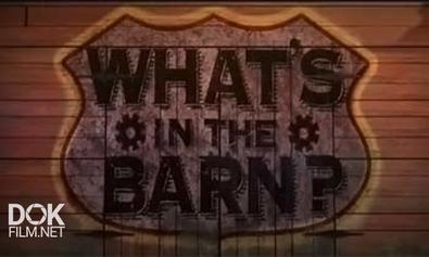 Что У Вас В Гараже? / Что В Сарае? / What\'S In The Barn? (2013)