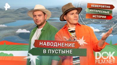 Невероятно интересные истории. Наводнение в пустыне (12.11.2025)